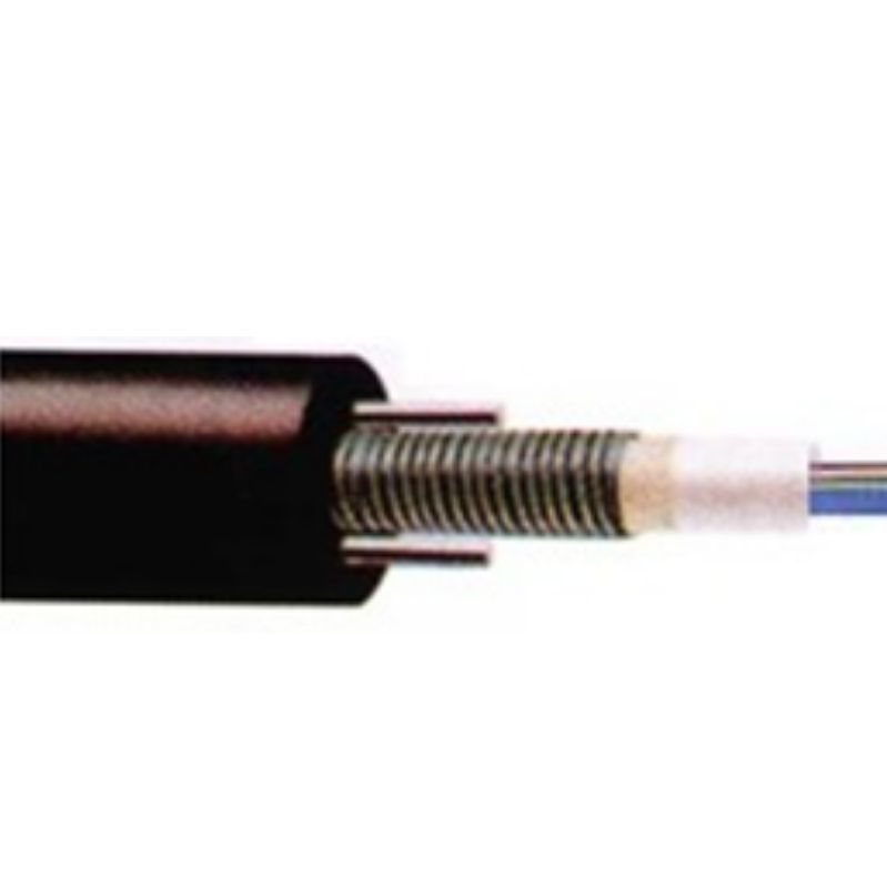 The Unitube Light-armored Ribbon Fiber Cable GYDXTW from Hiphotonics is an outdoor distribution cable that is very popular since it features a steel-wire parallel member, filler, protect tube, fiber, steel tape, and more. This special structure makes the cable light and good for installing pipelines in the air.
<p>
O One of the best things about this cable is that it has great mechanical and environmental protection, which means it can handle all the dangers that outdoor wires could face. The cable can handle severe temperatures, is waterproof, and is resistant to moisture. This makes it perfect for usage in tough conditions.
</p>
<p>
The Unitube Light-armored Ribbon Fiber Cable GYDXTW is also easy to use, which is another plus. The cable is simple to set up and use, so it may be used in a number of situations. It is also easy to move and carry because it is light.
</p>